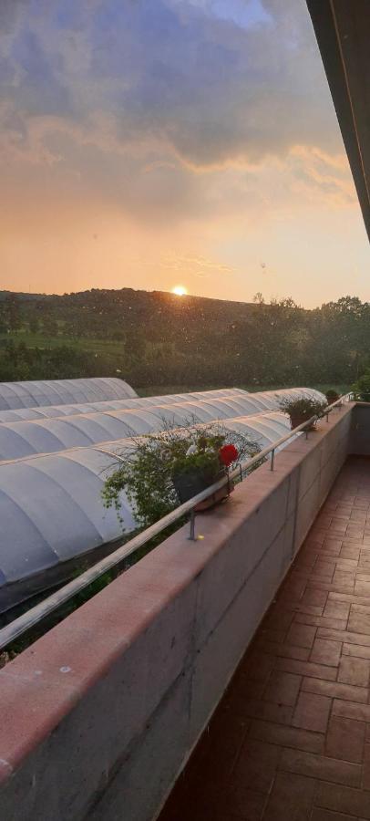Casa Vacanze Cerreto 3 Miglianico Eksteriør billede
