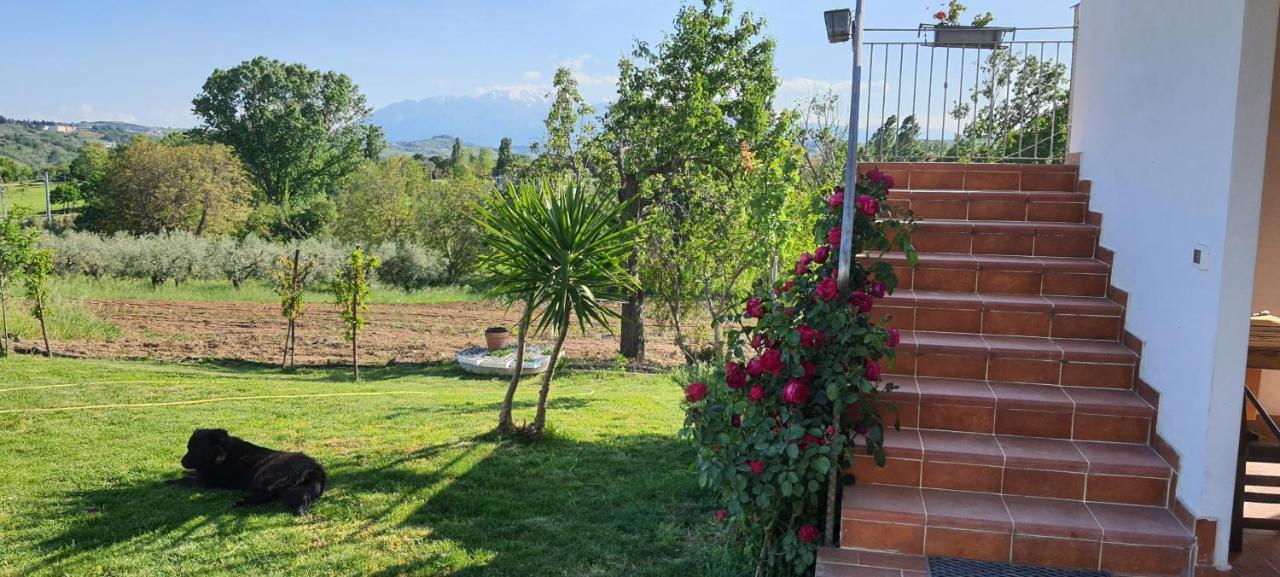 Casa Vacanze Cerreto 3 Miglianico Eksteriør billede